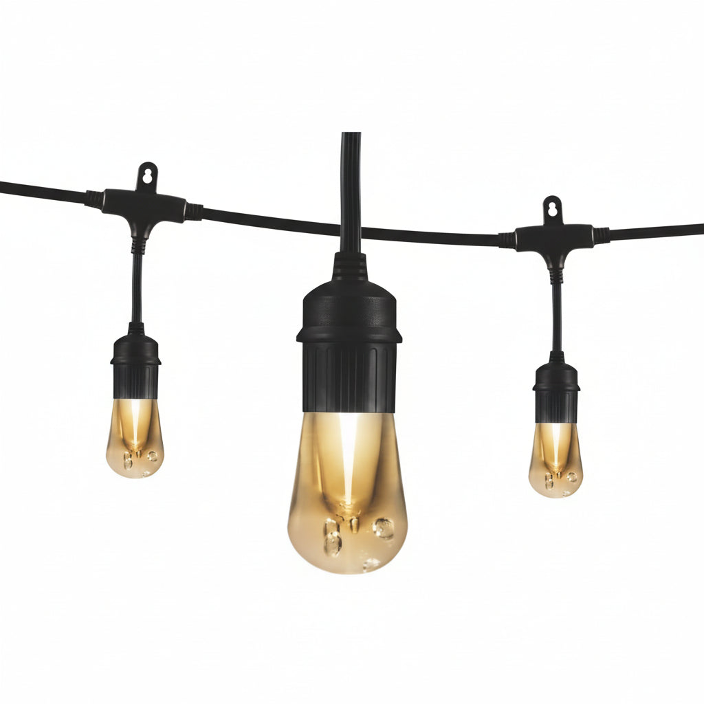 12 Bulbs 24 Ft. Outdoor/Indoor Black Vintage LED String Light, Acrylic Edison Bulbs (2-Pack)