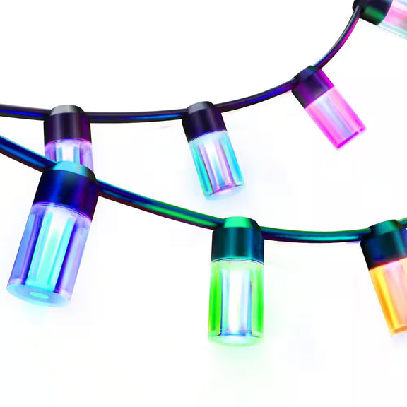 12-Light 24 Ft. Outdoor Plug-In RGB Integrated LED Smart Wi-Fi Edison String-Light, Works Alexa/Hey Google/Siri (2-Pack)