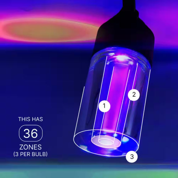 12-Light 24 Ft. Outdoor Plug-In RGB Integrated LED Smart Wi-Fi Edison String-Light, Works Alexa/Hey Google/Siri (2-Pack)