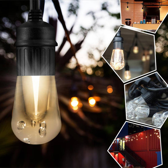 12 Bulbs 24 Ft. Outdoor/Indoor Black Vintage LED String Light, Acrylic Edison Bulbs (2-Pack)