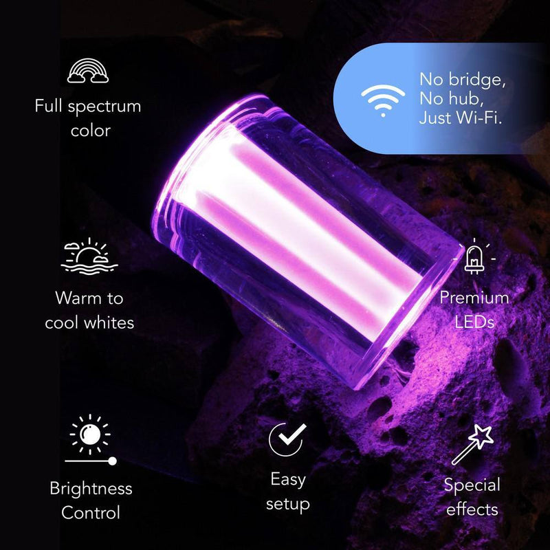 12-Light 24 Ft. Outdoor Plug-In RGB Integrated LED Smart Wi-Fi Edison String-Light, Works Alexa/Hey Google/Siri (2-Pack)