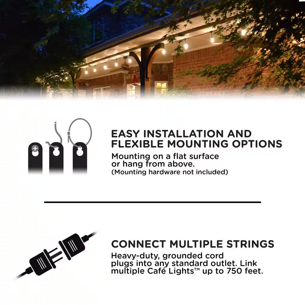 12 Bulbs 24 Ft. Outdoor/Indoor Black Vintage LED String Light, Acrylic Edison Bulbs (2-Pack)