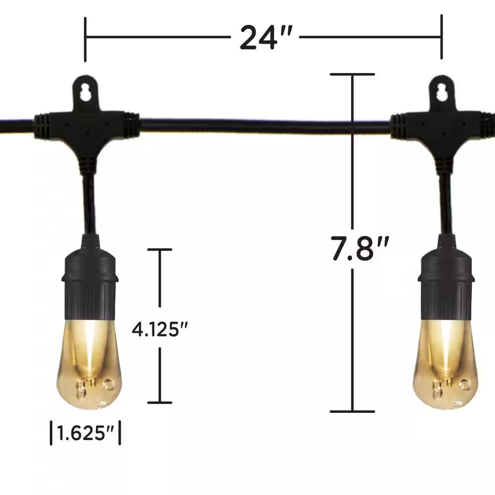 12 Bulbs 24 Ft. Outdoor/Indoor Black Vintage LED String Light, Acrylic Edison Bulbs (2-Pack)