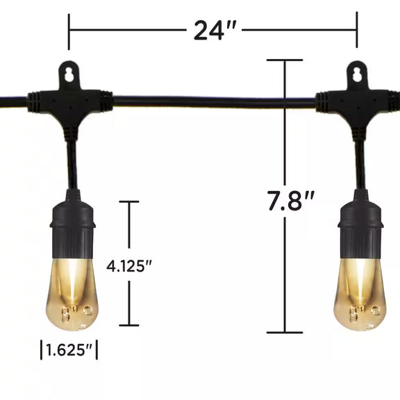 12 Bulbs 24 Ft. Outdoor/Indoor Black Vintage LED String Light, Acrylic Edison Bulbs (2-Pack)