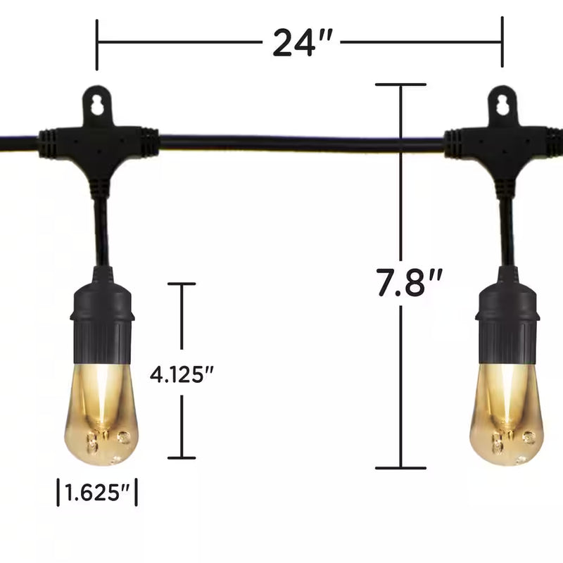 12 Bulbs 24 Ft. Outdoor/Indoor Black Vintage LED String Light, Acrylic Edison Bulbs (2-Pack)