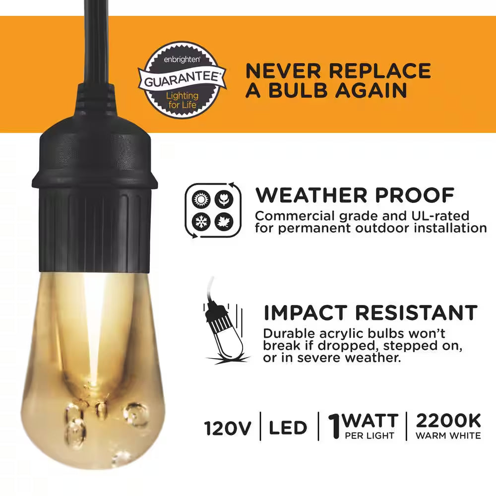 12 Bulbs 24 Ft. Outdoor/Indoor Black Vintage LED String Light, Acrylic Edison Bulbs (2-Pack)