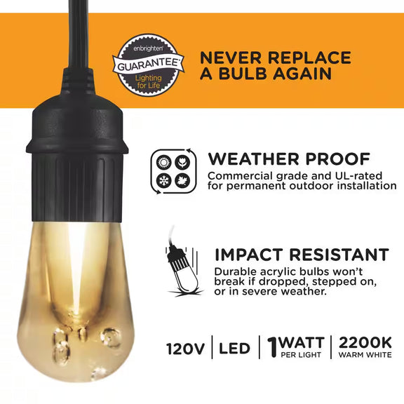 12 Bulbs 24 Ft. Outdoor/Indoor Black Vintage LED String Light, Acrylic Edison Bulbs (2-Pack)