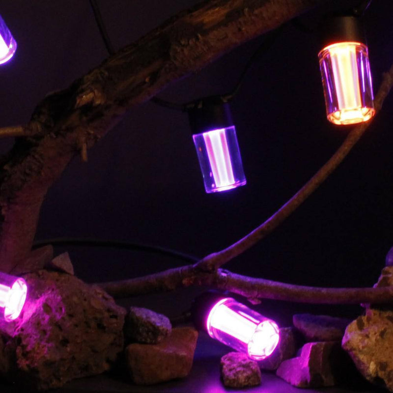 12-Light 24 Ft. Outdoor Plug-In RGB Integrated LED Smart Wi-Fi Edison String-Light, Works Alexa/Hey Google/Siri (2-Pack)